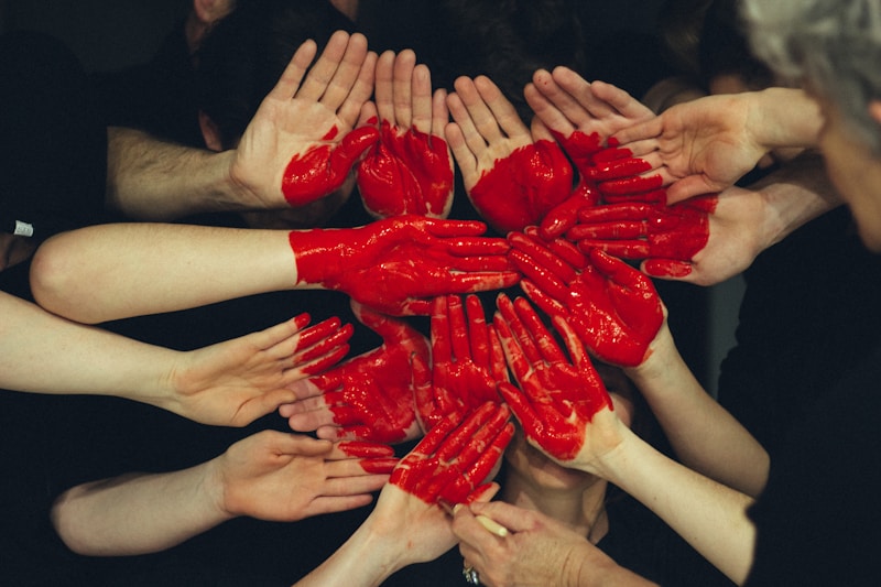 International Refugee Support Program Launches Comprehensive Integration Initiative